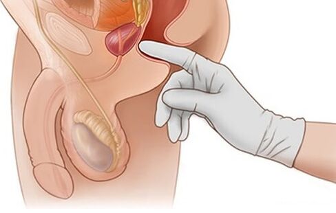 Tukli mushuk retro surati